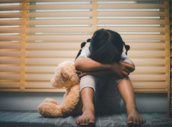 За насилие над 9-летней девочкой житель Ставрополья получил 12 лет за решеткой