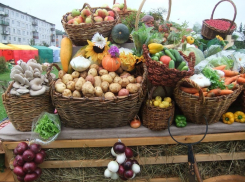 Устроители субботней ярмарки пообещали удивить ставропольцев вкусными продуктами и низкими ценами