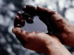 За кражу 22 тонн нефти и подделку денег жители Ставрополья ответят в суде