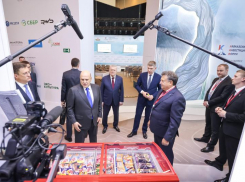 Михаил Мишустин оценил импортозамещенное мороженое, выпускаемое на производствах ставропольской группы Арнест