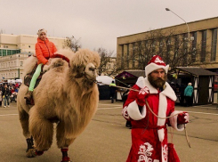 Тепло и дождливо будет в Ставрополе во вторник 