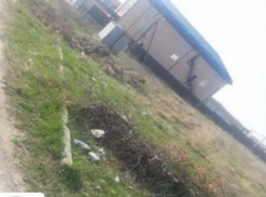 Крысы атаковали частные дворы и дома из-за магазинного мусора в поселке близ Пятигорска