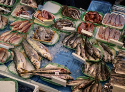Почти 60 килограммов рыбы и морепродуктов с нарушениями изъяли на Ставрополье в 2024 году