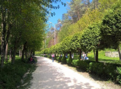 Штрафовать на полторы тысячи рублей за сигарету будут в парках Кисловодска