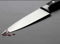 Подросток изнасиловал 11-летнюю девочку в Александровском районе