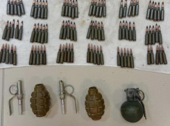 Автомат Калашникова в схроне и «граната» на празднике: два жителя Ставрополья собрали целый букет «уголовок»