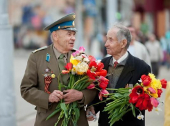 Ставрополь украсят портретами ветеранов к 71-й годовщине Победы