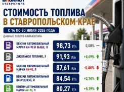 АИ-92 за 80 рублей: ценовые сюрпризы продолжает устраивать бензин для ставропольских водителей