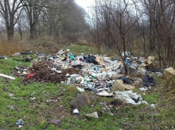 Горами мусора завалили окрестности на выезде из Буденновска