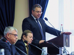 «Человек завел коров и у него теперь 37 проверок от разных служб. Так за что мы боремся?» - губернатор Ставрополья раскритиковал отношение чиновников к бизнесу