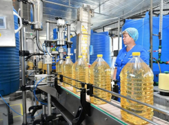 Завод по производству растительного масла за 350 миллионов построят на Ставрополье