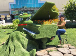 Жители Ставрополя просят спасти затоптанные арт-объекты в центре города
