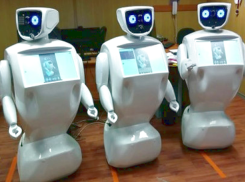 Роботы вместо людей будут консультировать посетителей МФЦ на Ставрополье