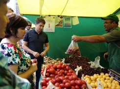 Ярмарки против магазинов: где выгодней, дешевле и удобней покупать продукты в Ставрополе 