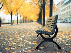 Теплый и пасмурный день ждет Ставрополь в конце рабочей недели 