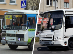 «Как раньше уже не будет»: почему Ставрополю не нужны старые перевозчики?