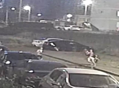 Следователи начали проверку после нападения бездомной собаки на ребенка в Ставрополе