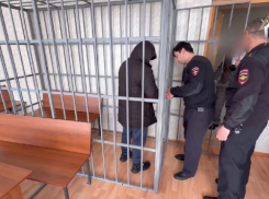 Державшие в плену сына погибшего бойца СВО братья отправлены под стражу на Ставрополье