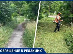 «От тротуара уже ничего не осталось»: ведущую к больнице дорожку в Михайловске восстановят 