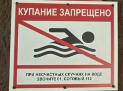 Тонущего 15-летнего подростка успели спасти в Кочубеевском округе Ставрополья