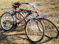 Велосипедисты заблудились в лесу Ставрополя