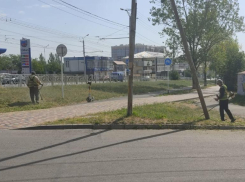 Ставропольские аллергики получили график бомбардировок от амброзии на следующую неделю