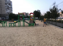В Ставрополе на юге открылась площадка для выгула собак