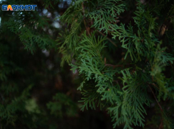 Отопительный сезон ночью и курорт днем: погода в Ставрополе снова играет в контрасты 