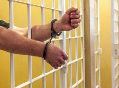 Ставрополец, покусавший свою мать, отправится под суд