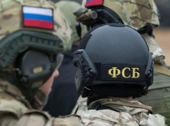 Государственную измену жителя Ставрополья пресекли уголовным делом