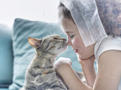 «Питомец — это пример настоящей дружбы»: история кошки Мелиссы 