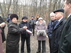 В Таманском лесу начали незаконное строительство