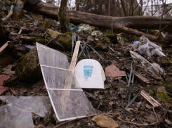 Ставрополец завалил землю мусором на 17 миллионов:дело дошло до суда 