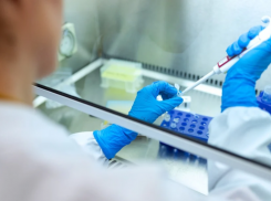 На Ставрополье за сутки сразу 705 человек победили CoVID-19