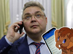 «Мамонт, слон и министр всего»: как записаны номера ставропольских чиновников в телефонах их знакомых