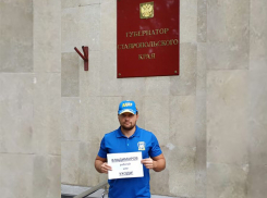 «Владимиров, работай или уходи!» - одиночные пикеты провели по краю ставропольские либерал-демократы