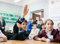 Дистанционки в ставропольских школах пока не будет 