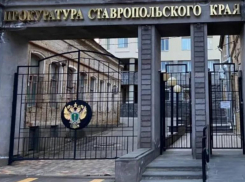 Прокуратура занялась проверкой гибели ребенка на реке Егорлык на Ставрополье