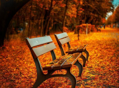 Один из парков Пятигорска преобразится в будущем году