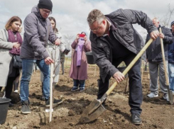 В Ставрополе посадили несколько сотен деревьев и кустарников 