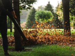«Это нормально в 3 часа ночи?»: закон о тишине вновь нарушили в Ставрополе