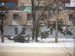В Ставрополе полностью наладили работу электричества после урагана