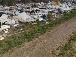 Вред почве почти на 2 миллиона рублей нанесла огромная незаконная свалка на Ставрополье