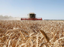 Мошенники обманули сельскохозяйственные предприятия Ставрополья на 25 миллионов рублей