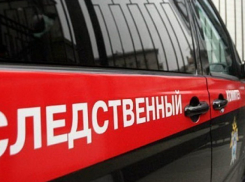 Следователи пытаются отыскать родителей погребенных младенцев