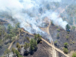 Виновные в лесном пожаре на ставропольской горе Куцай отделались дисциплинарным наказанием