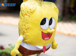 Жарой до +33 градусов встретит ставропольцев первый июльский день 