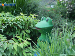 С жары до +37 градусов и тотального отсутствия дождей начнется последняя неделя июля на Ставрополье