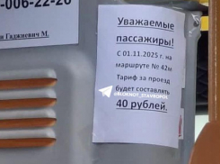 В Ставрополе проезд по маршруту №42м с ноября подорожает до 40 рублей 