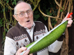 «Блокнот» реально увеличит ваше хозяйство